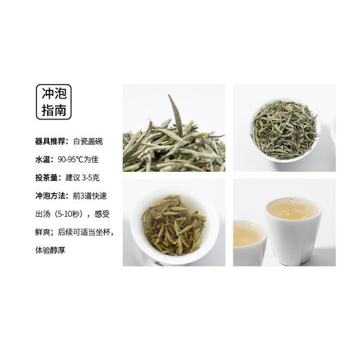 懂茶帝-2025年云中管阳金奖银针福鼎白茶核心产区（250g） 商品图4