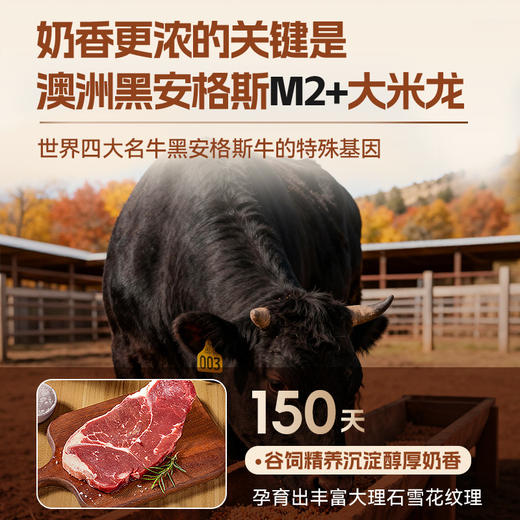 【满减专区】澳洲安格斯牛脆条25g/坚果味 商品图4