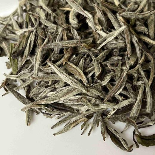 懂茶帝-裕荣香2019年白毫银针产品白白茶散装散茶50g/200g 商品图3