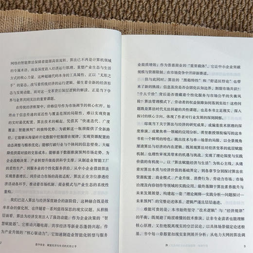数字炼金：赋能经济与生活的无形之手 商品图12