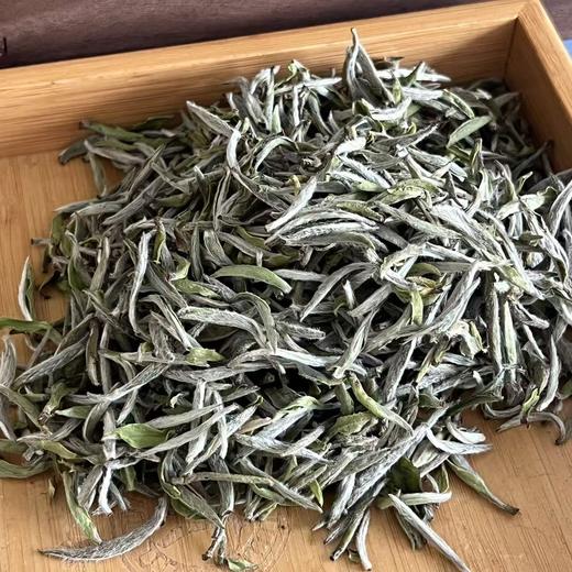 懂茶帝-管阳村官甄选2026年常念头采炭焙老树老树白毫银针1.5kg 商品图2