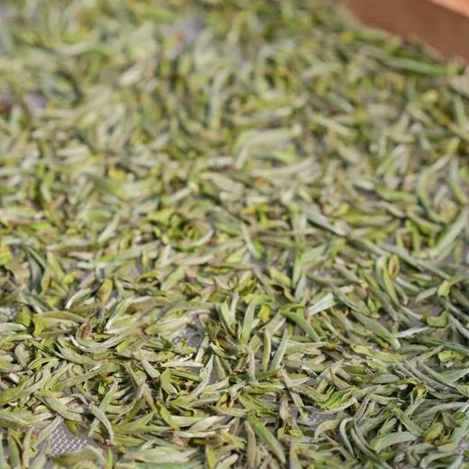 春茶季云中管阳2025新茶管阳西昆老树白毫银针特级核心产区500g 商品图3