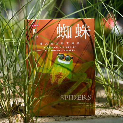《蜘蛛》普林斯顿大学生物图鉴系列 超200张照片和科学研究，探讨物种知识及其在生态系统中的作用 生物图鉴科普-分销 商品图2