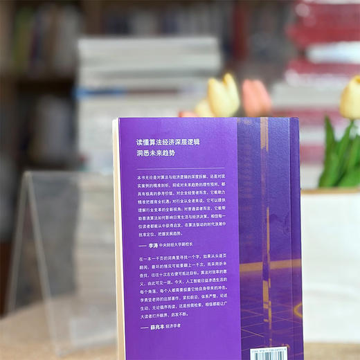 数字炼金：赋能经济与生活的无形之手 商品图5