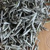 懂茶帝-管阳高山云雾村官甄选福鼎白茶鼎峰山银针（未冕 ）500g 商品缩略图2