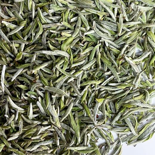 懂茶帝-吴洋山2025年头采白毫银针福鼎头采银针抖音中国春茶250g 商品图3