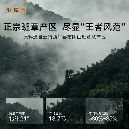 小罐茶·年份茶系列·五年普洱熟茶【现货】 商品图5