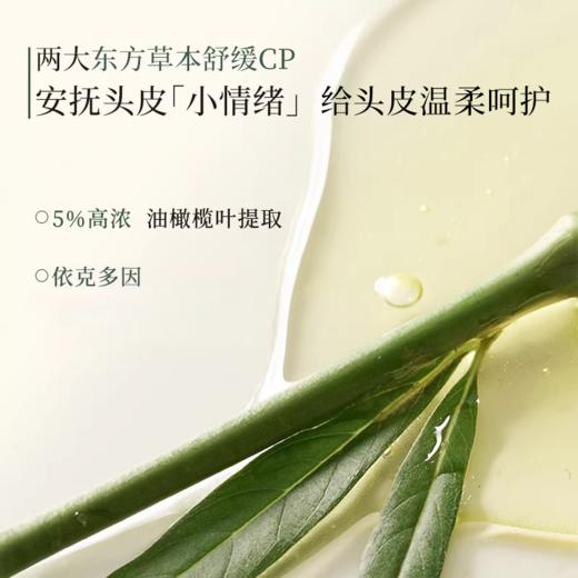 【三森万物】三森万物三重去屑止痒净化凝露[150.00ml/瓶，1.00瓶/盒] 赠同款小样10ml*5 袋 商品图1