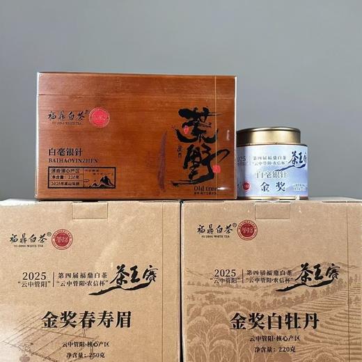 懂茶帝-管阳高山云雾村官甄选2025年荒野老树银针金奖春寿眉福鼎 商品图4