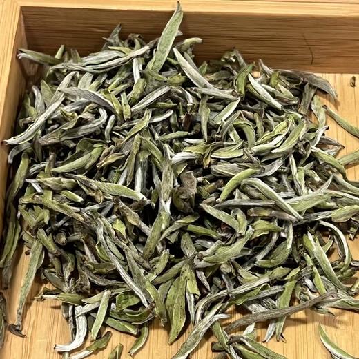 懂茶帝-管阳福鼎白茶2026年荒野老树头采白毫银针50g/200g 商品图3