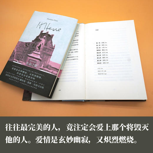 生命之歌 盖特露德 诺贝尔文学奖得主黑塞早期成熟的小说之一 献给所有不完美的人 商品图2