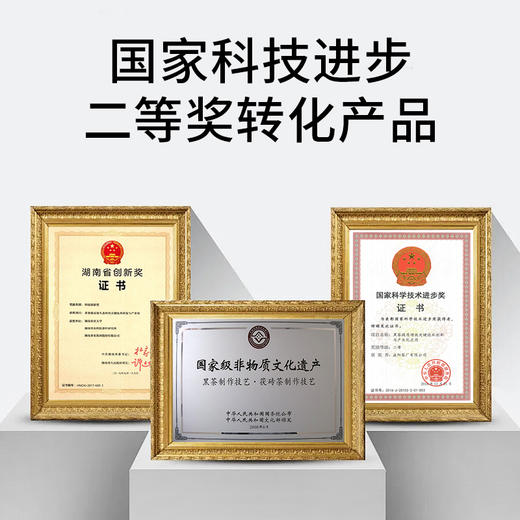 茶里手·金花黑茶｜湖南省茶业集团荣誉出品，：源自 “中华老字号” 湘益茯砖茶，采用传统发花工艺 商品图1
