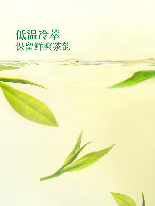 MM 山姆 东方树叶 冷萃龙井茶 335ml*8 商品图8