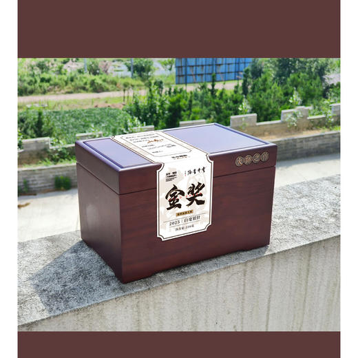 懂茶帝-2025年云中管阳金奖银针福鼎白茶核心产区（250g） 商品图2