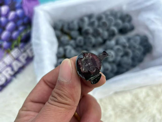 蓝莓葡萄 商品图5