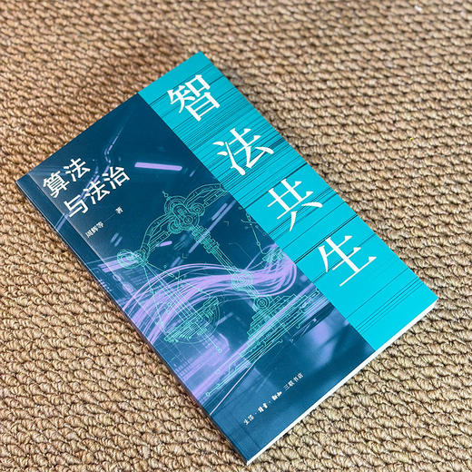 智法共生：算法与法治 商品图8