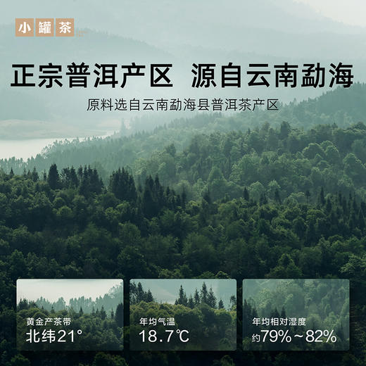 小罐茶·年份茶系列·二年普洱熟茶【现货】 商品图2