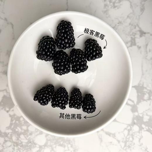 【排单发货】极客黑莓丨花青素含量高，酸甜适中，香气浓郁，汁水丰富，略有籽感，介意慎拍。⭐顺丰空运 商品图7