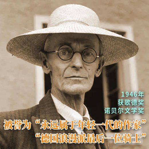 生命之歌 盖特露德 诺贝尔文学奖得主黑塞早期成熟的小说之一 献给所有不完美的人 商品图3