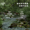 【新茶补货】2026春野绒针·白毫银针 | 私房清饮系列 | 50g原叶 | 白茶类 商品缩略图3