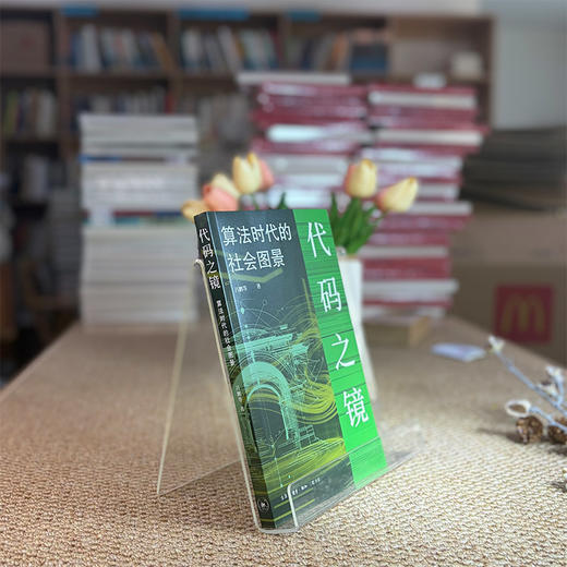 代码之镜：算法时代的社会图景 商品图10