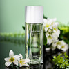 香奈儿 水晶恋绿意淡香精 Chanel Cristalle Eau Verte Eau de Parfum 分装 商品缩略图3