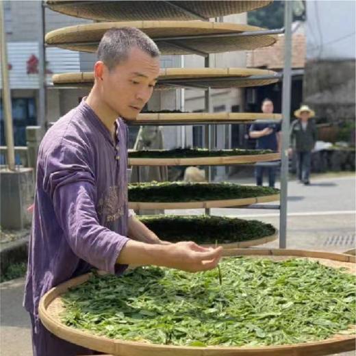 【2026年采摘新茶】杭州野放茶园龙井茶 100g  绿茶  一芽一叶 荒野韵味 生态龙井  夏天喝 自然清凉 商品图7