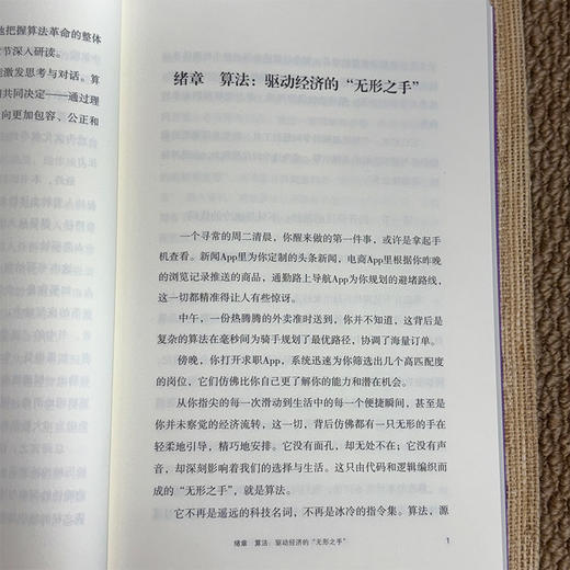 数字炼金：赋能经济与生活的无形之手 商品图13