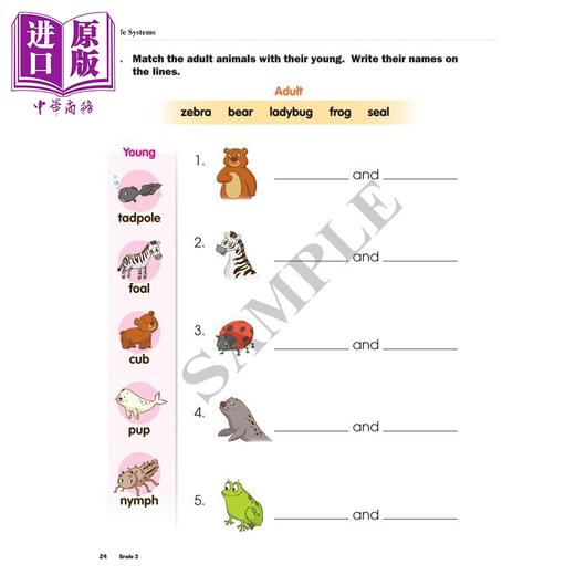 【中商原版】Complete STEM Smart Grade 2 加拿大课程练习册 STEM 智慧全攻略 2年级 英文原版进口 科学技术工程数学跨学科 商品图1