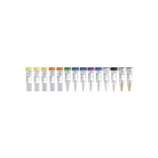 Hyperactive FOODIE Library Prep Kit for Illumina 商品图0