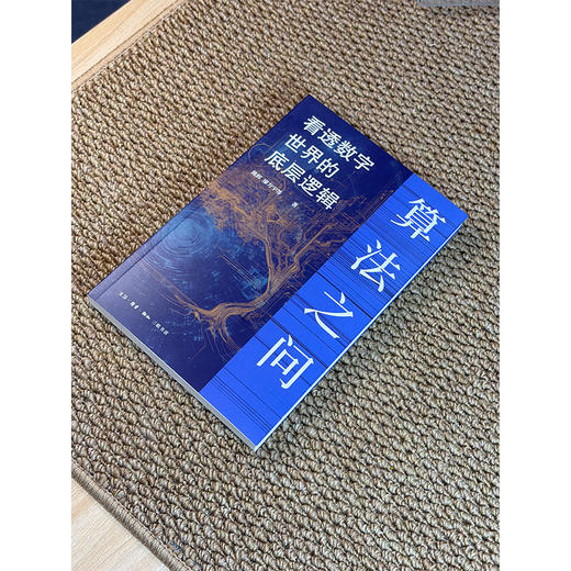 算法之问：看透数字世界的底层逻辑 商品图14