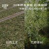 【新茶补货】2026春野绒针·白毫银针 | 私房清饮系列 | 50g原叶 | 白茶类 商品缩略图1