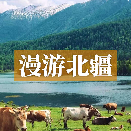 漫游北疆环线 | 在冰川与沙漠的交响里，捕捉上帝的调色盘 商品图0