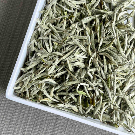 懂茶帝-云中管阳2024年茶王白毫银针茶叶百年2026福鼎白茶250g 商品图4