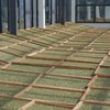春茶季云中管阳2025新茶管阳西昆老树白毫银针特级核心产区500g 商品缩略图4