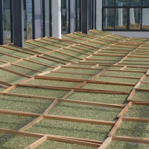 春茶季云中管阳2025新茶管阳西昆老树白毫银针特级核心产区500g 商品图4
