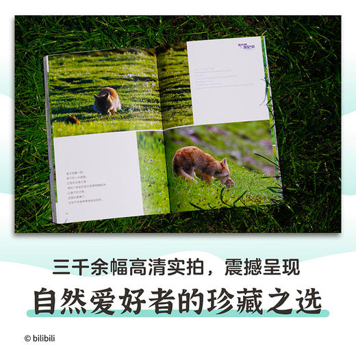 我们的国家公园丛书·三江源国家公园 B站高赞纪录片正版授权改编 ，全景纪实，大美中国 商品图3