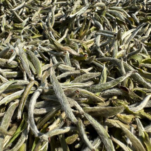 懂茶帝福鼎高山白毫银针2025年头采白毫银针云深500g/1500g 商品图2