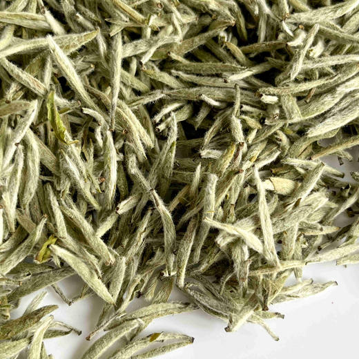 懂茶帝-云中管阳2025年赛级白毫银针250g 商品图3