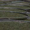 懂茶帝福鼎高山白毫银针2025年头采白毫银针云深500g/1500g 商品缩略图3