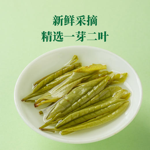 【2026年新茶】八马茶业 | 绿茶抱春系列·安吉白茶礼盒180g 商品图5