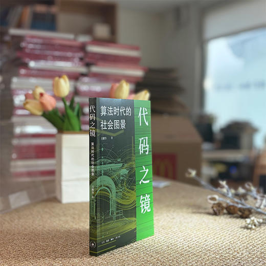 代码之镜：算法时代的社会图景 商品图9