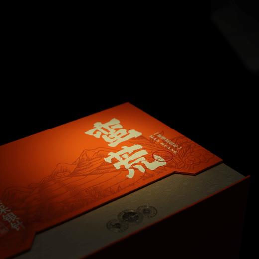 懂茶帝福鼎高山白毫银针荒野银针磻溪头采2025年蛮荒白毫银针500g 商品图2