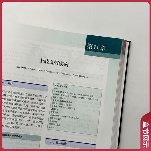 血管与腔内血管外科学 第7七版 郑月宏 张磊 郭明金 贺新奇 主译 慢性下肢缺血的评估等 9787567925564 中国协和医科大学出版社 商品图2