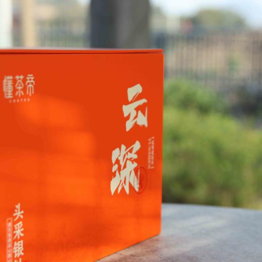 懂茶帝福鼎高山白毫银针2025年头采白毫银针云深500g/1500g 商品图1