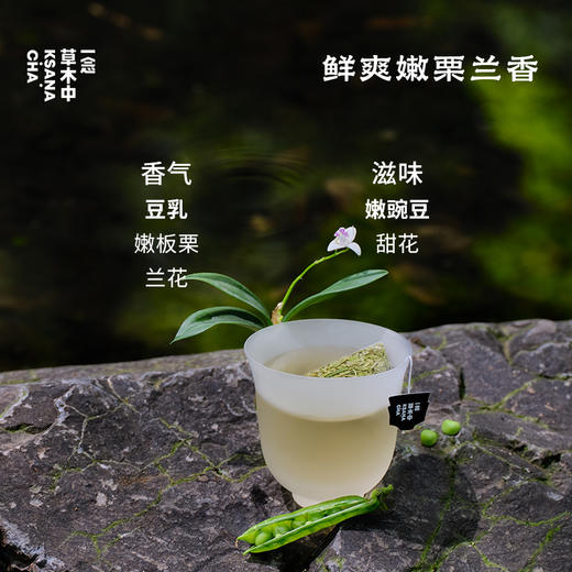 西子春·冷萃龙井 | 自在茶系列 | 2.5g*7包 | 绿茶类 商品图3