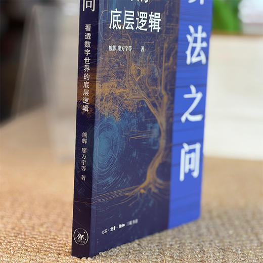 算法之问：看透数字世界的底层逻辑 商品图10