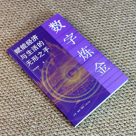 数字炼金：赋能经济与生活的无形之手 商品图4