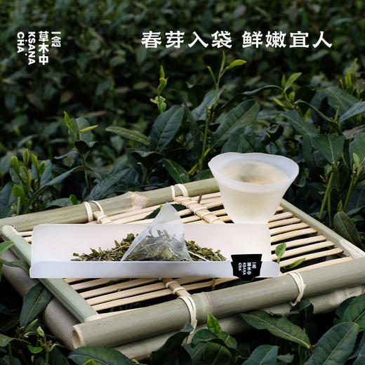 西子春·冷萃龙井 | 自在茶系列 | 2.5g*7包 | 绿茶类 商品图2