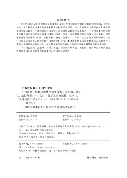 生物质循环流化床燃烧理论和技术 商品图4